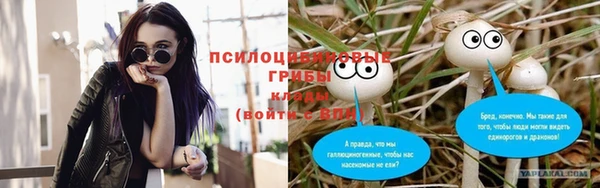 прущие крисы Аркадак