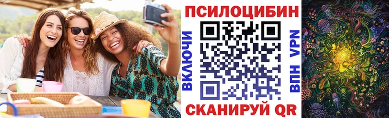Купить  Суворов  Галлюциногенные грибы Magic Shrooms 